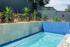 oasispool.com_.au_gold-coast_pool-builder_Worongary_Concrete-Pool-1