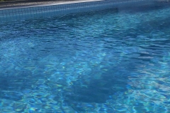 Oasis Pool Constructions_www.oasispool.com.au_Gold Coast Pool Builder_Swimming Pool Builders_Pools Gold Coast_Gold Coast Pools_Pool Builders Gold Coast_Inground Pools_Pool designs Gold Coast_Swimming Pool Construction_Withern_2