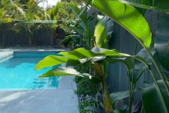 oasis-pebblecrete-pools-105